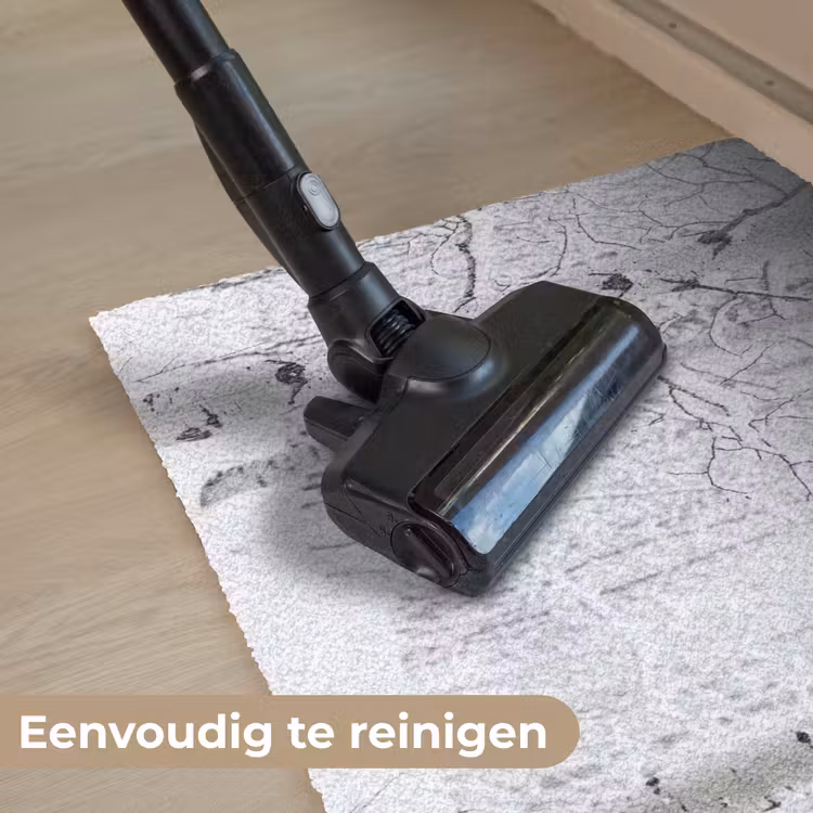 Berkenbomen - Sneeuw - Winter - Bos - Wit Deurmat klein -reinigen_NL