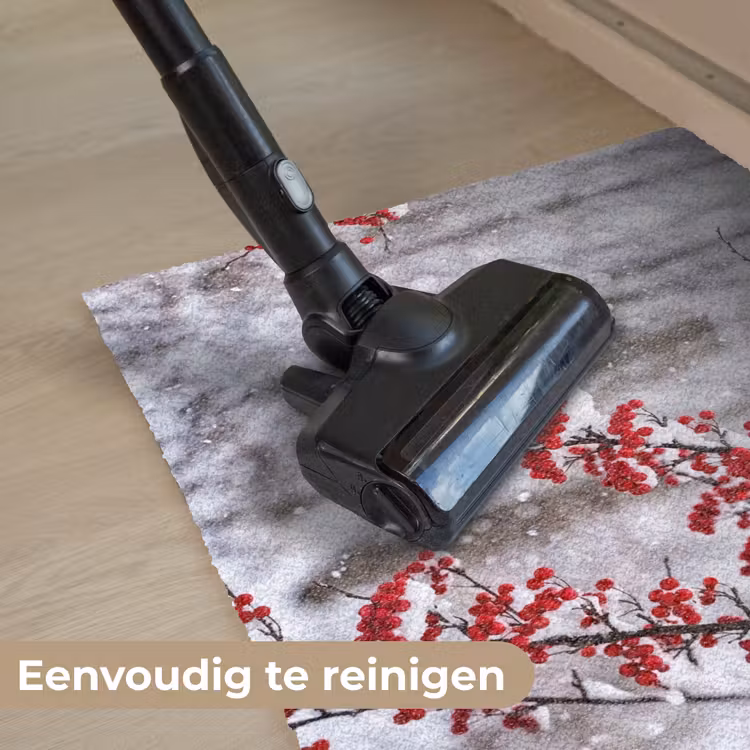 Bessen - Takken - Sneeuw - Winter - Kleurrijk Deurmat klein -reinigen_NL