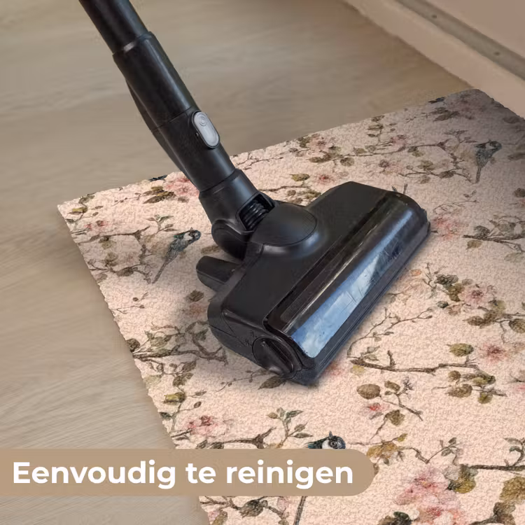 Bloesem - Koolmees - Roze Deurmat klein 898 -reinigen_NL