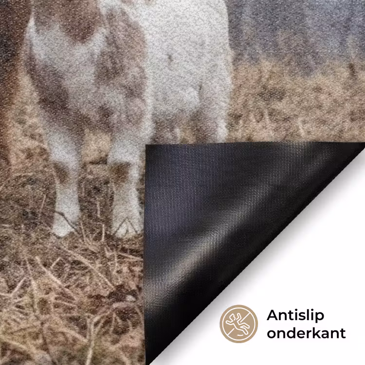 Boerderijdieren - Groep - Mist - Natuur - Rustiek Deurmat klein -antislip_NL