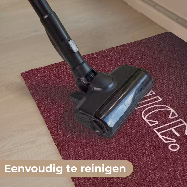 Bordeaux - Nice - minimalistisch Deurmat klein -reinigen_NL