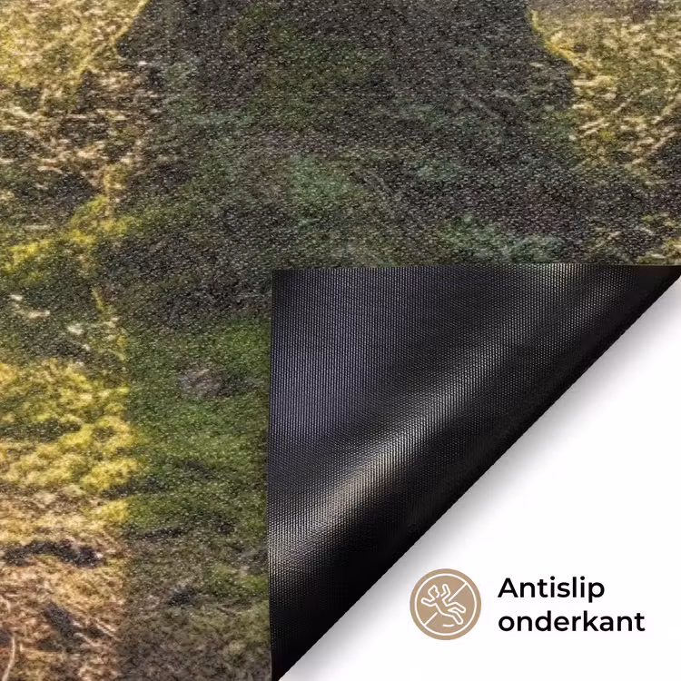 Bos - Zonlicht - Gras Deurmat klein -antislip_NL