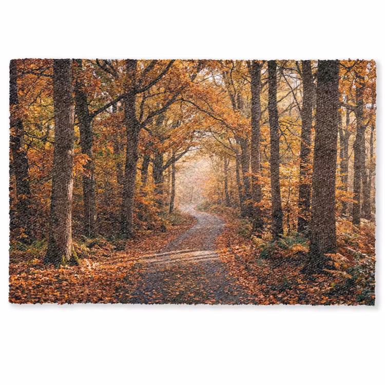 Bospad - Herfstbos - Bladeren - Oranje - Nostalgisch Deurmat klein -zkaufland3d