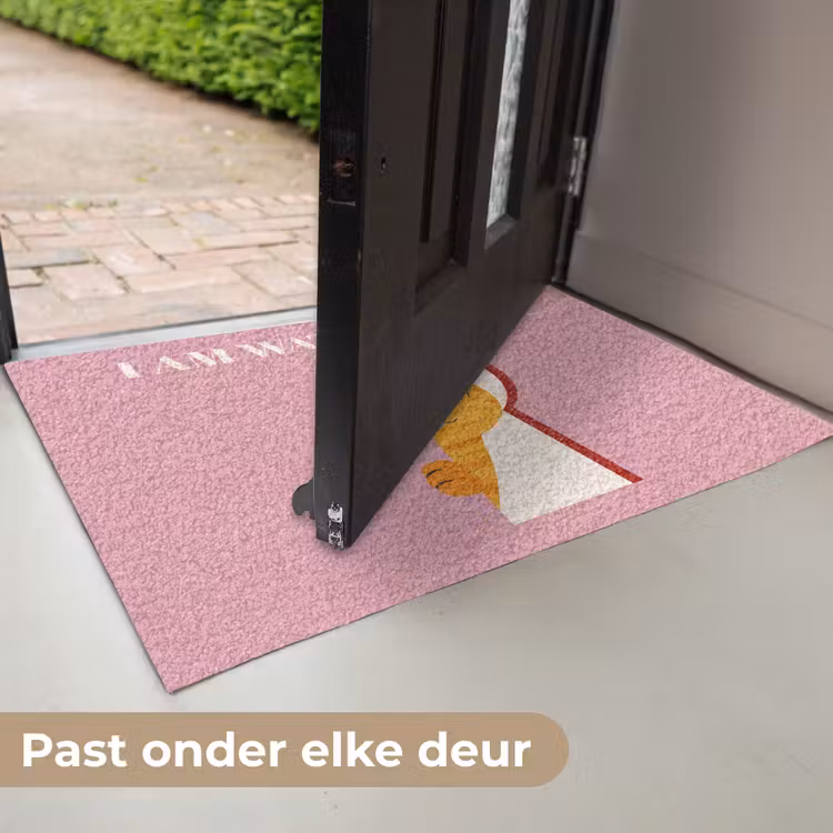 Cat - Quote - Pink Deurmat klein -USP_NL
