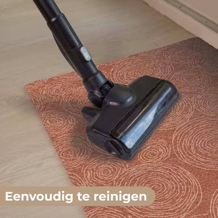 Cirkels - Abstract - Artistiek - Terracotta Deurmat klein 898 -reinigen_NL