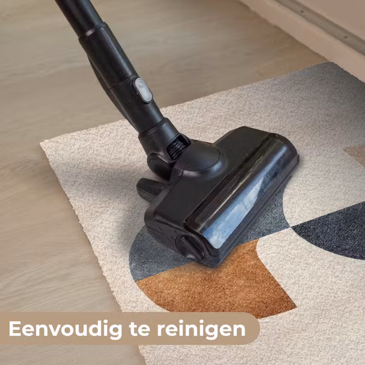 Cirkels - Abstract - Kleurrijk Deurmat klein -reinigen_NL