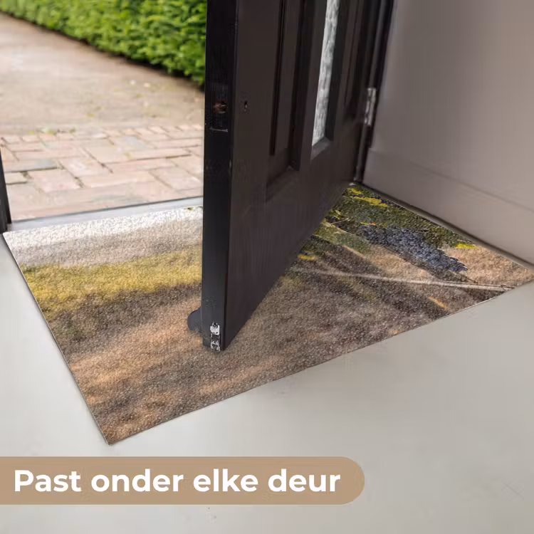 Druiven - Wijngaard - Zonlicht Deurmat klein -USP_NL