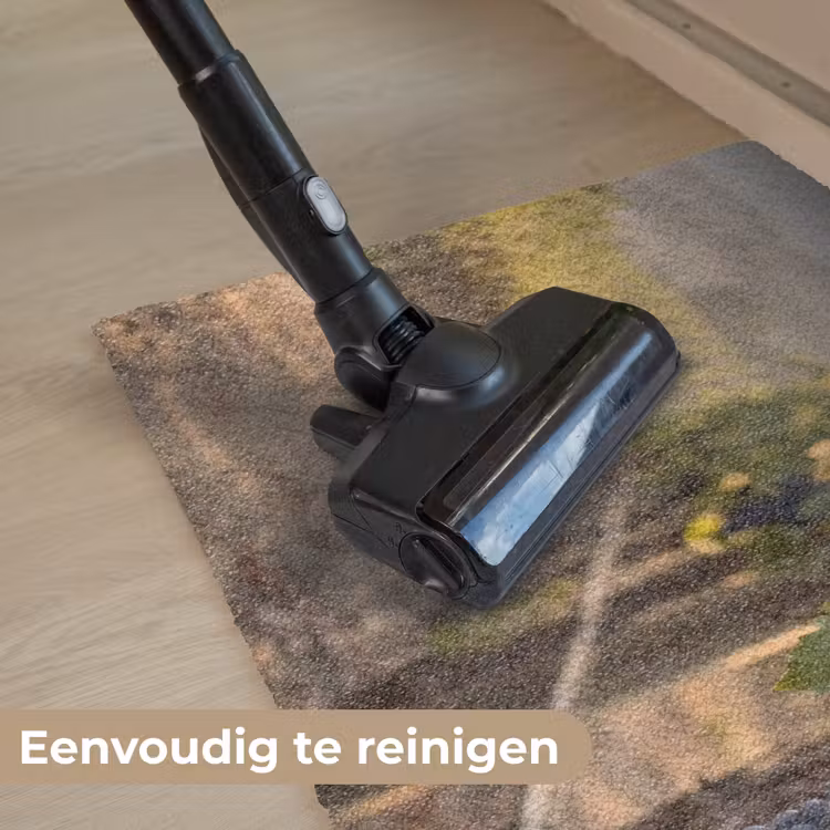 Druiven - Wijngaard - Zonlicht Deurmat klein -reinigen_NL