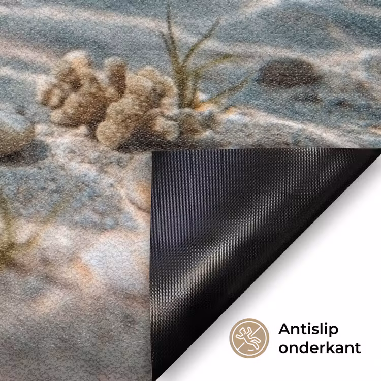 Duikbril - Eend - Water Deurmat klein -antislip_NL