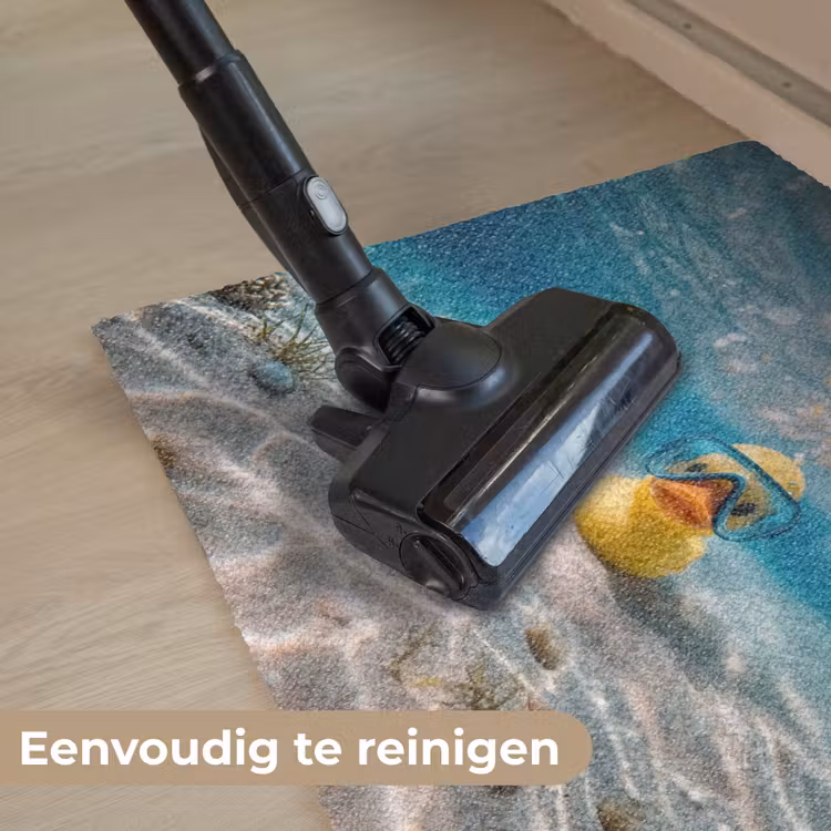 Duikbril - Eend - Water Deurmat klein -reinigen_NL