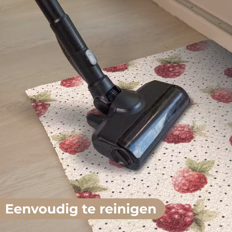 Framboos - Stippen - Rood Deurmat klein 898 -reinigen_NL