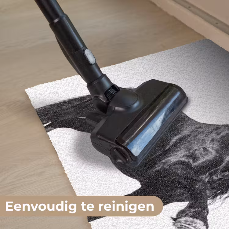 Fries - Hengst - Modern Deurmat klein -reinigen_NL