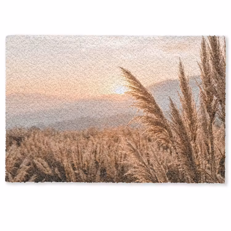 Gras - Veld - Zon - Natuur Deurmat klein -zkaufland3d