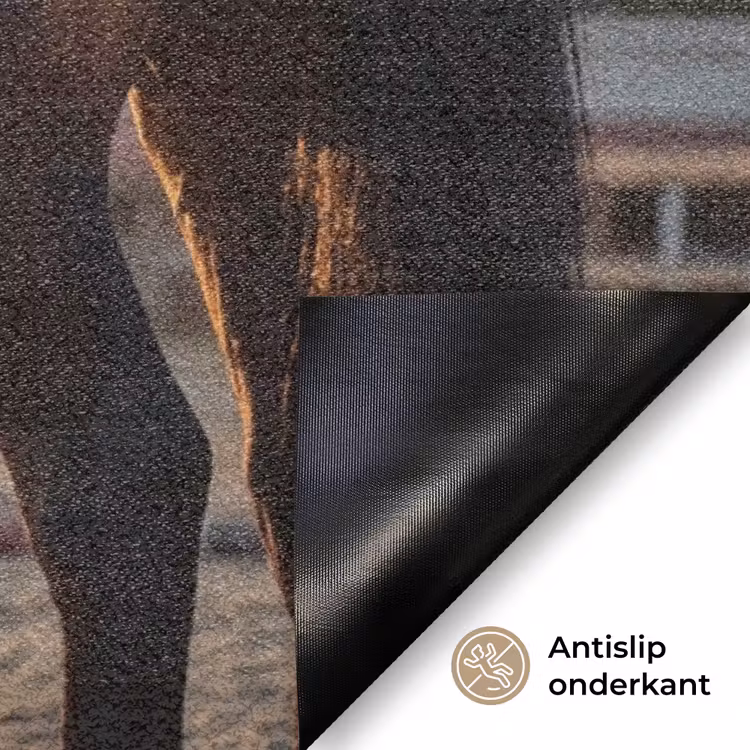 Harmonie - Ruiter - Zon Deurmat klein -antislip_NL