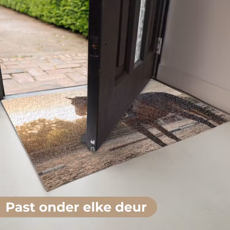 Harmonie - Ruiter - Zon Deurmat klein -USP_NL