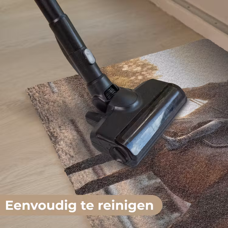 Harmonie - Ruiter - Zon Deurmat klein -reinigen_NL