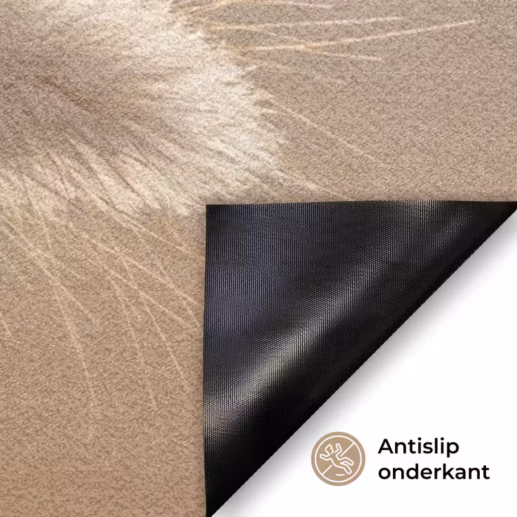 Hazestaartgras - Graanharen - Zonlicht Deurmat klein -antislip_NL