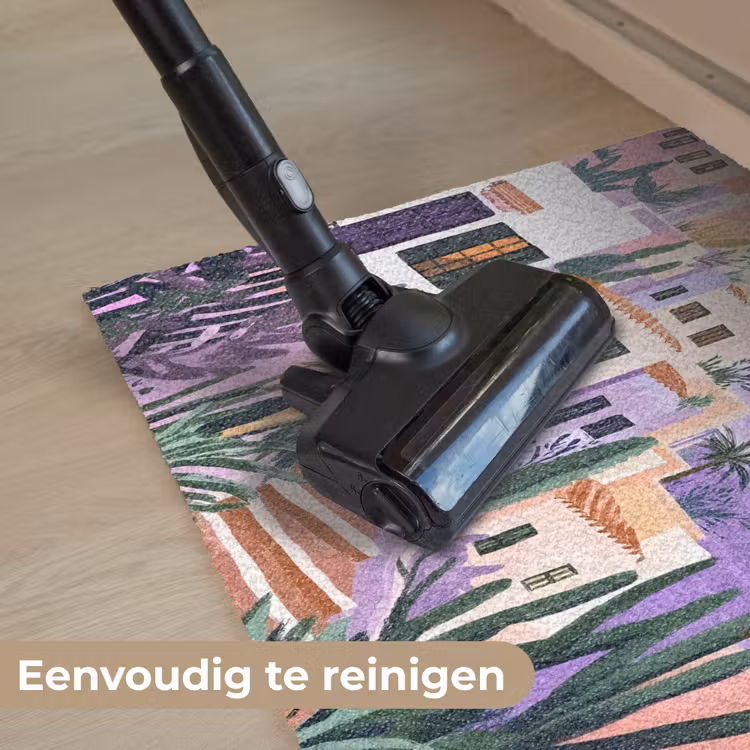 Huizen - Minimalistisch - Palmbomen - Kust Deurmat klein -reinigen_NL