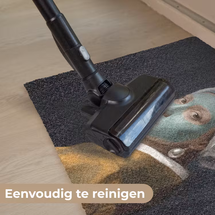 Iconisch - Modern - Kleurrijk Deurmat klein -reinigen_NL