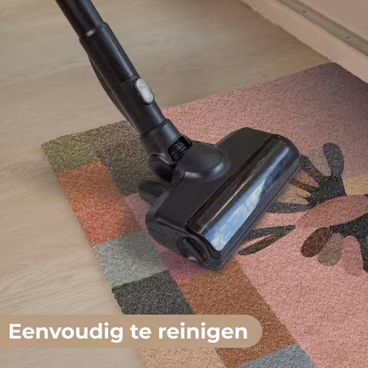 Illustratie - Vogel - Vlakken - Kleurrijk Deurmat klein -reinigen_NL