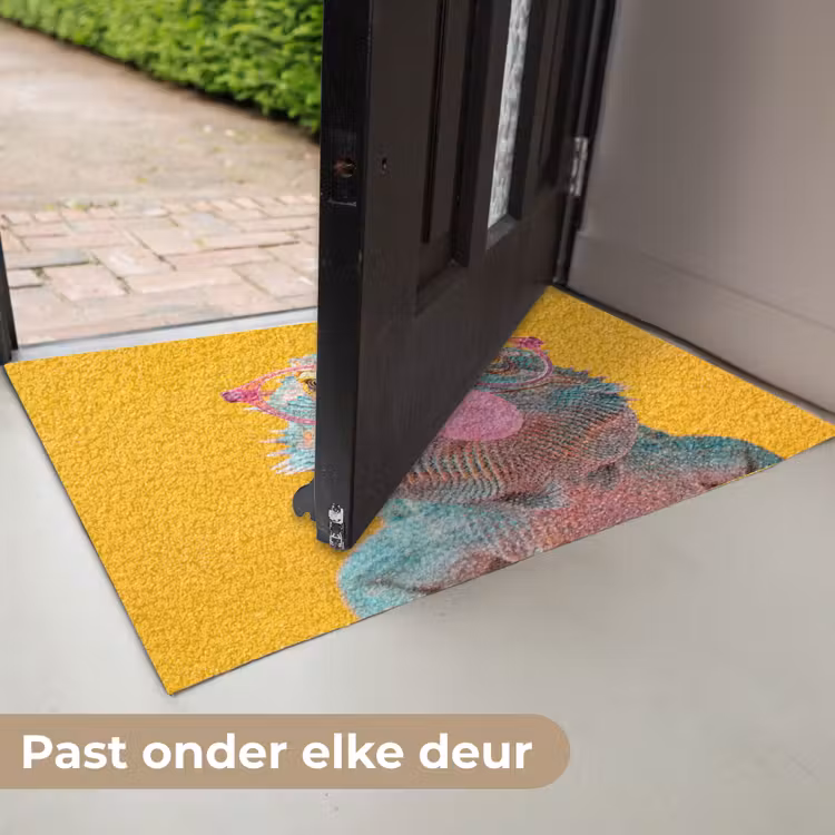 Kameleon - Kauwgom - Kleurrijk Deurmat klein -USP_NL