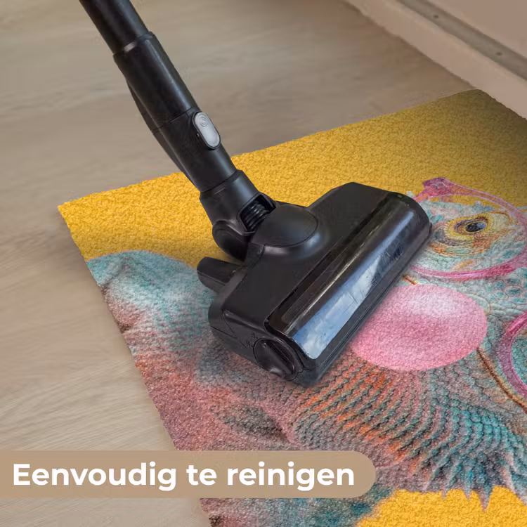 Kameleon - Kauwgom - Kleurrijk Deurmat klein -reinigen_NL