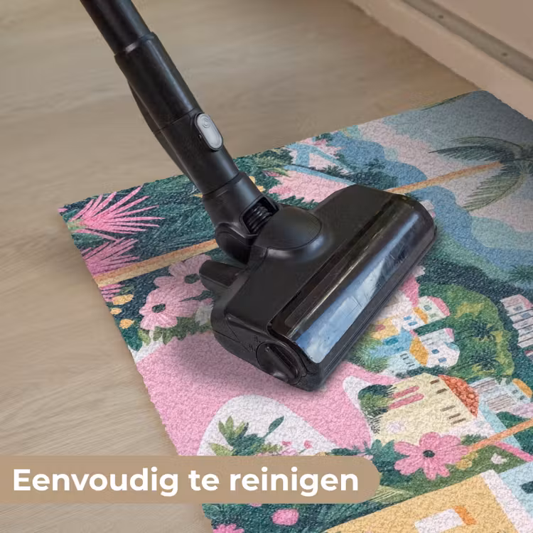 Kleurrijk - Huizen - Heuvels - Roze Deurmat klein -reinigen_NL