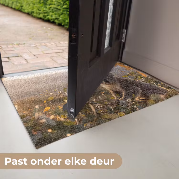Koala - Bladeren - Ochtendlicht Deurmat klein -USP_NL