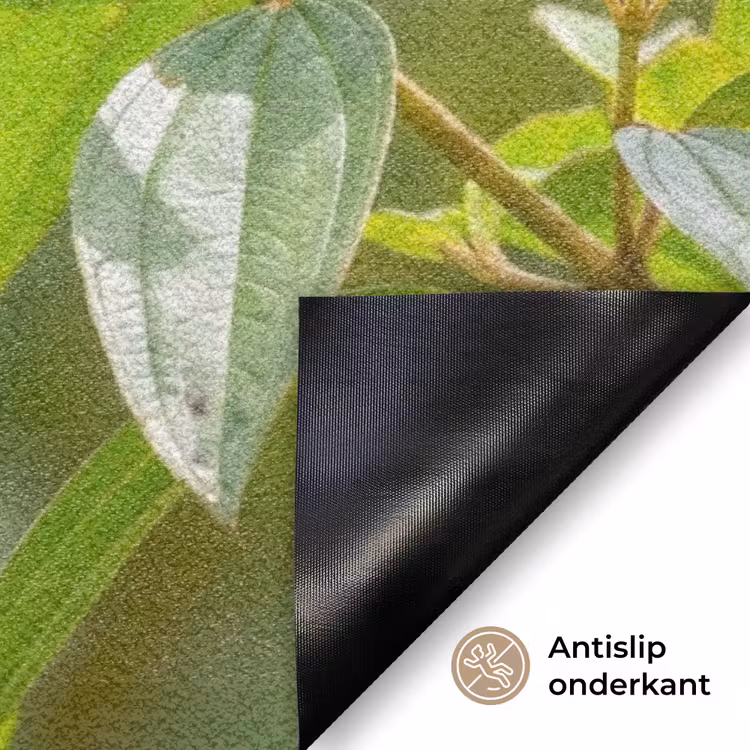 Kolibrie - Bloem - Natuur - Groen Deurmat klein -antislip_NL