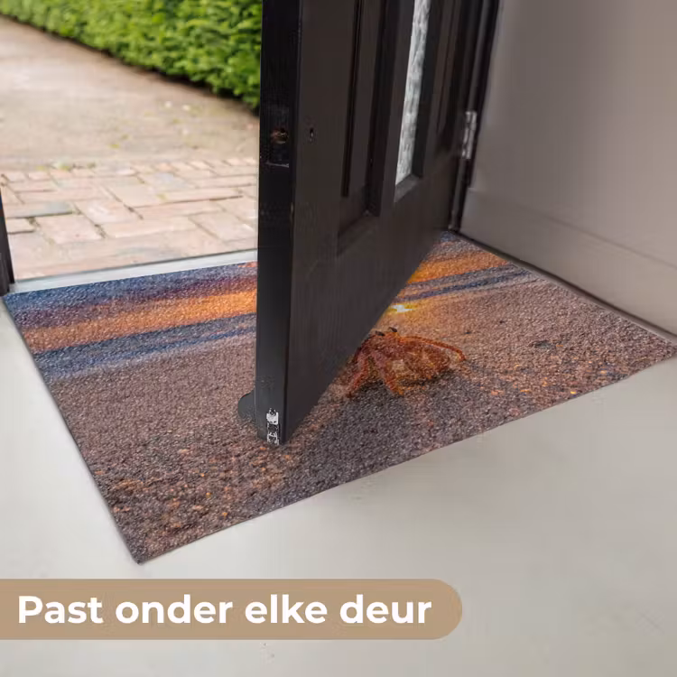Kreeft - Strand - Natuur - Zonsondergang - Oranje Deurmat klein -USP_NL