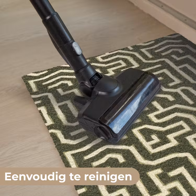 Lijnen - Abstract - Groen Deurmat klein 898 -reinigen_NL