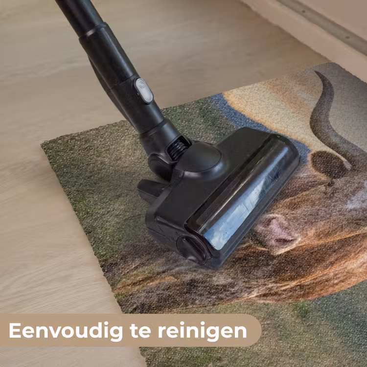 Longhorn - Landschap - Zonsondergang Deurmat klein -reinigen_NL