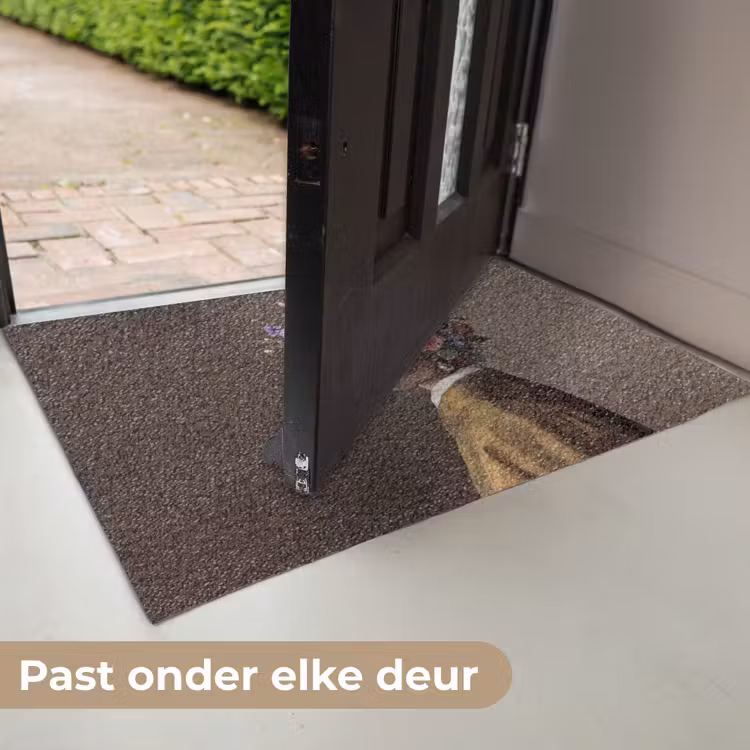 Meesterwerk -  Modern - Kleurrijk Deurmat klein -USP_NL