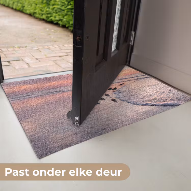 Meeuwen - Strand - Zee - Roze Deurmat klein -USP_NL