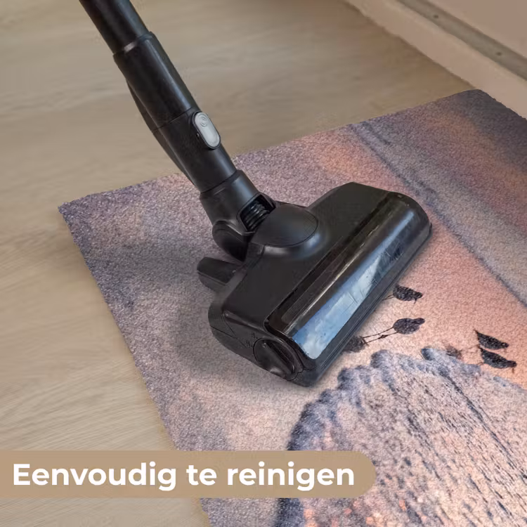 Meeuwen - Strand - Zee - Roze Deurmat klein -reinigen_NL