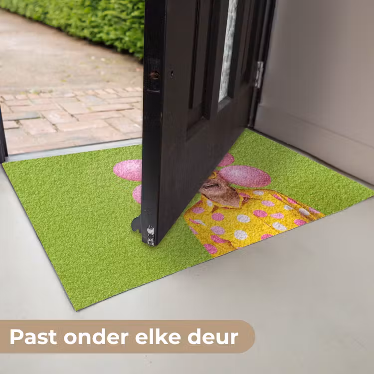 Mens - Ballonnen - Feest - Kleurrijk - Roze Deurmat klein -USP_NL
