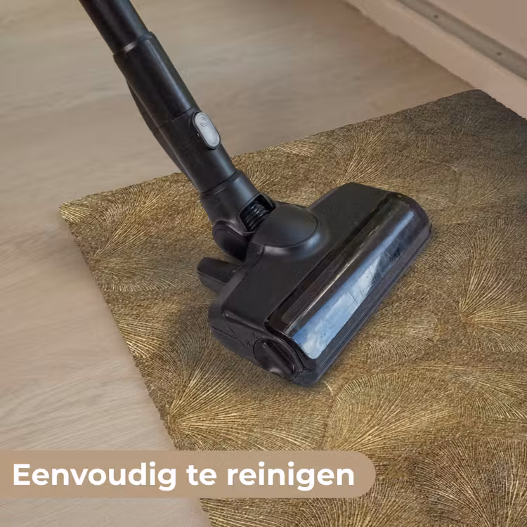 Organisch - Lijnen - Goud Deurmat klein 898 -reinigen_NL