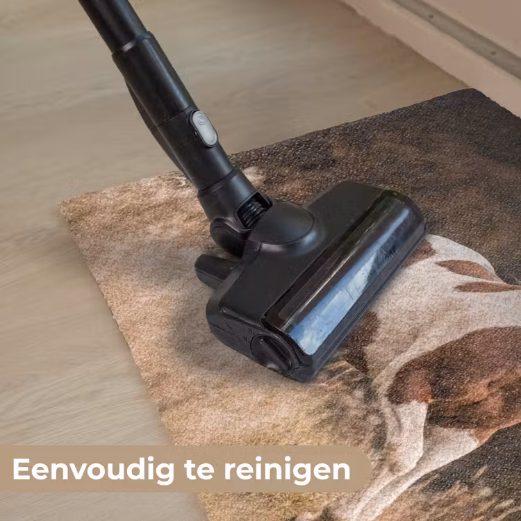 Paard - Bruin - Gras Deurmat klein -reinigen_NL