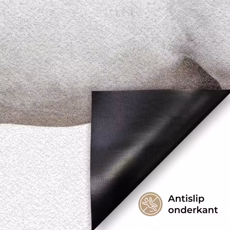 Paard - Modern - Balans Deurmat klein -antislip_NL