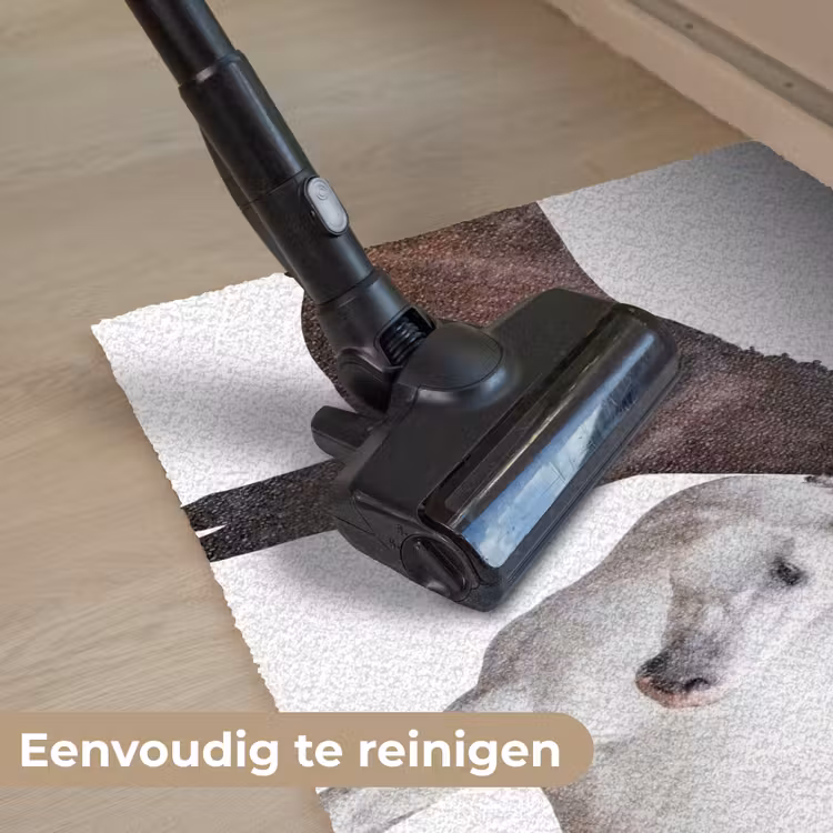 Paard - Modern - Balans Deurmat klein -reinigen_NL