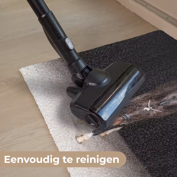Paard - Modern - Portret Deurmat klein -reinigen_NL