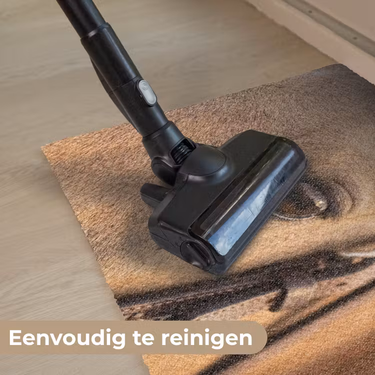 Paard - Oog - Bruin Deurmat klein -reinigen_NL