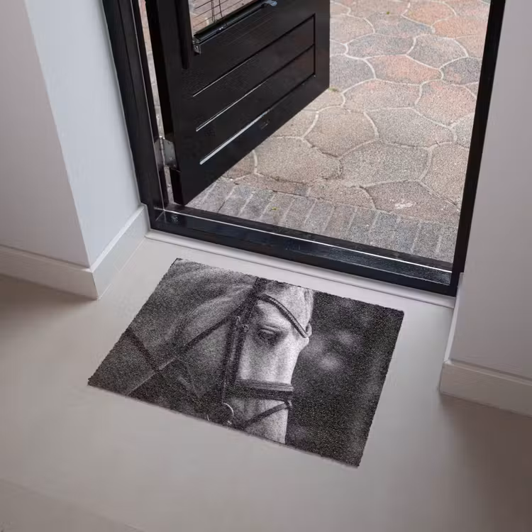 Paard - Schimmel - Portret Deurmat klein -sfeer5