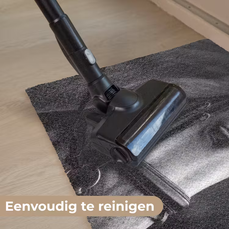 Paard - Schimmel - Portret Deurmat klein -reinigen_NL