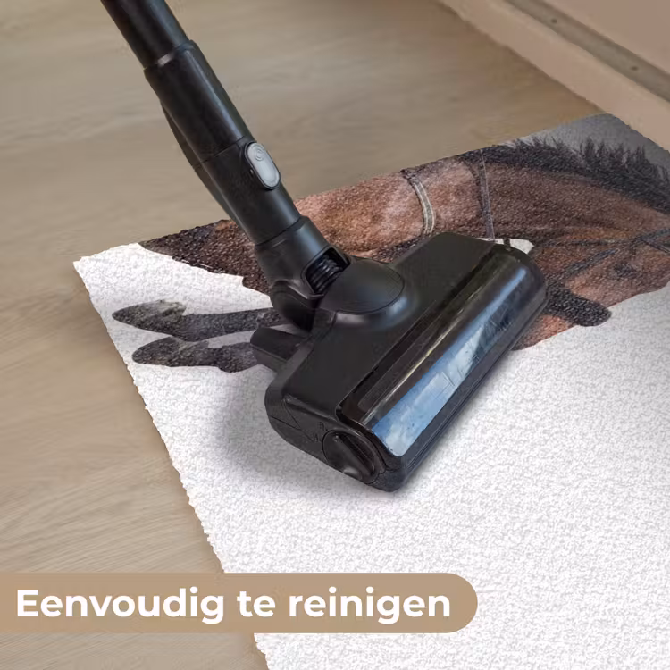 Paard - Springen - Modern Deurmat klein -reinigen_NL