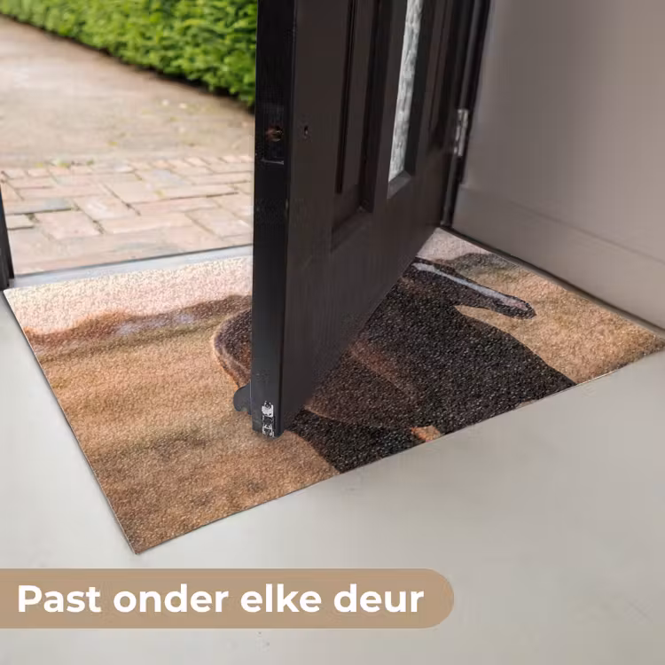 Paard - Zonsondergang - Bruin Deurmat klein -USP_NL