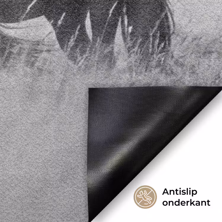 Paarden - Gras - Zwart - Wit Deurmat klein -antislip_NL