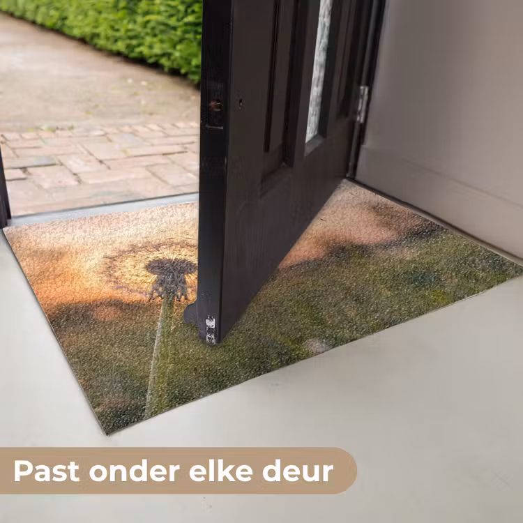 Paardenbloem - Zonsondergang - Veld Deurmat klein -USP_NL