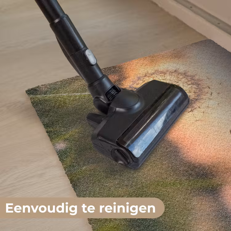 Paardenbloem - Zonsondergang - Veld Deurmat klein -reinigen_NL