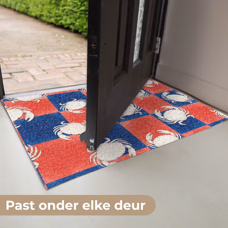 Patroon - Zeeleven - Rood - Blauw - Abstract Deurmat klein -USP_NL